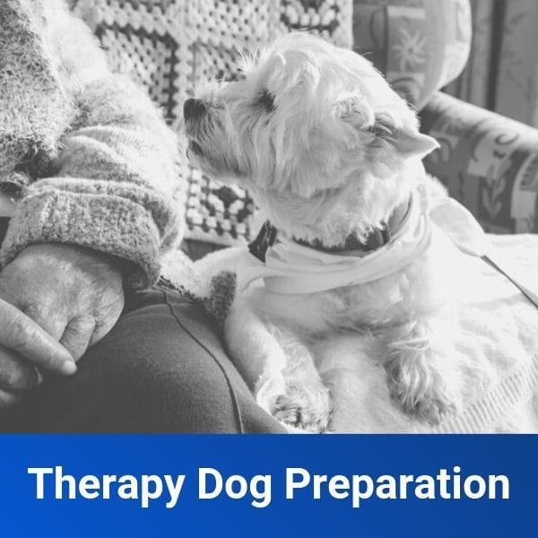 Therapy Dog Development