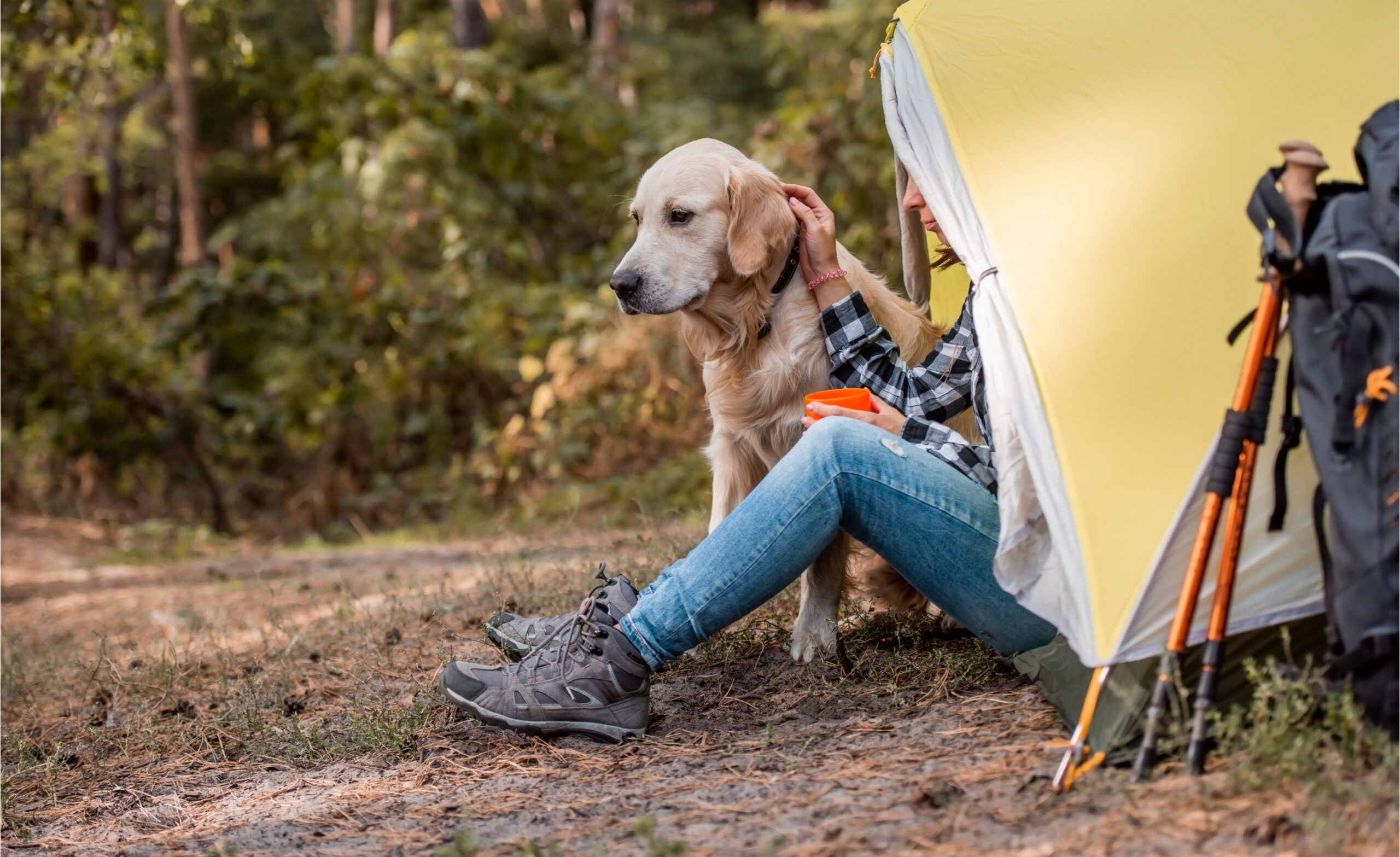 Dog Friendly Camping in Northern Virginia